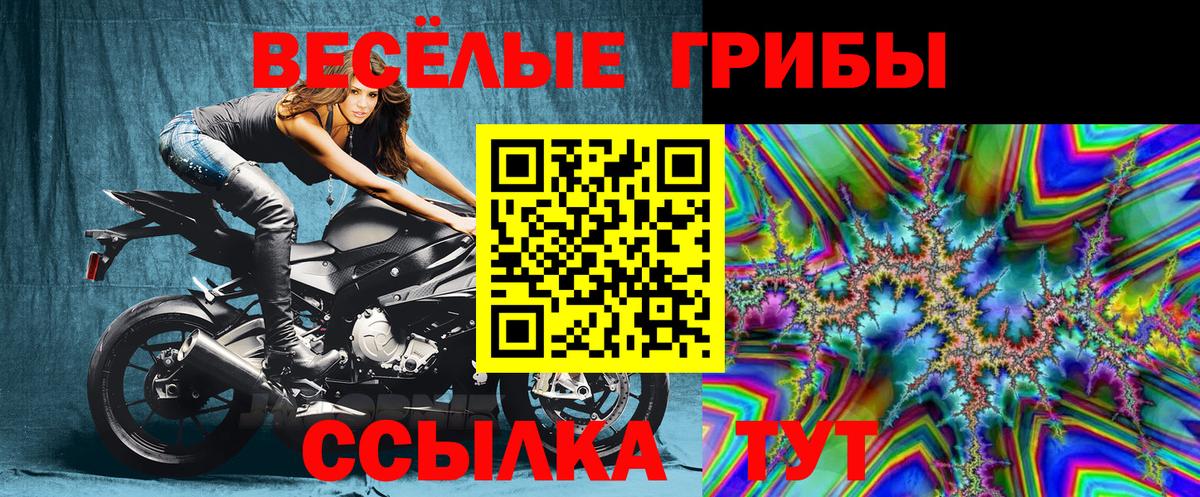 Галлюциногенные грибы Cubensis Тейково