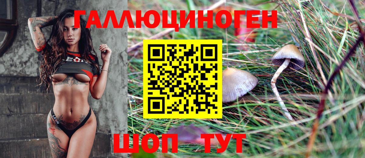Галлюциногенные грибы Psilocybine cubensis  Вход с VPN  Тейково 